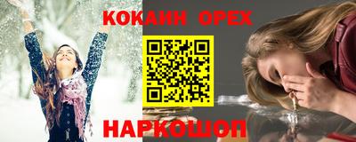 стаф Камышлов