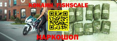 гидра Кандалакша