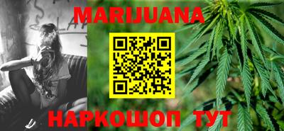 гидра Кандалакша