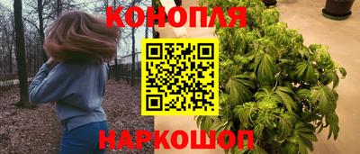 гидра Кандалакша
