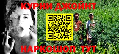 гидра Кандалакша