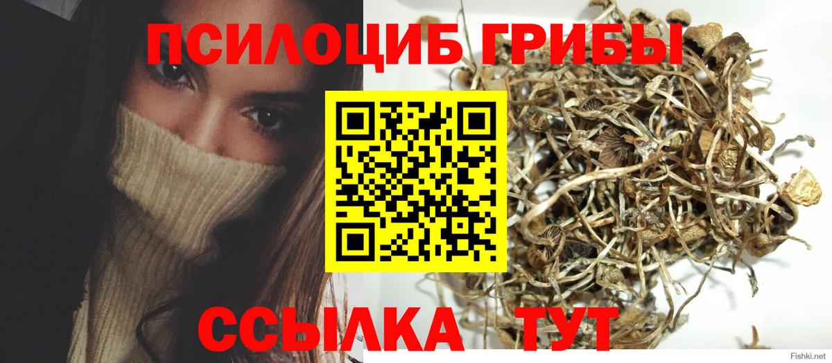 Псилоцибиновые грибы ЛСД  где купить наркоту  Волоколамск  Вход с VPN 